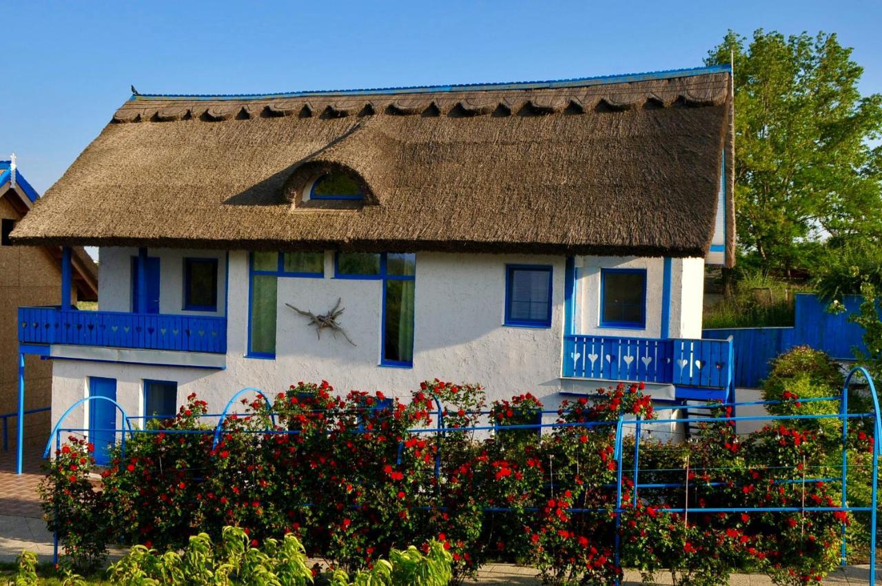 Nena Art Resort Дунавэцу-де-Жос Экстерьер фото
