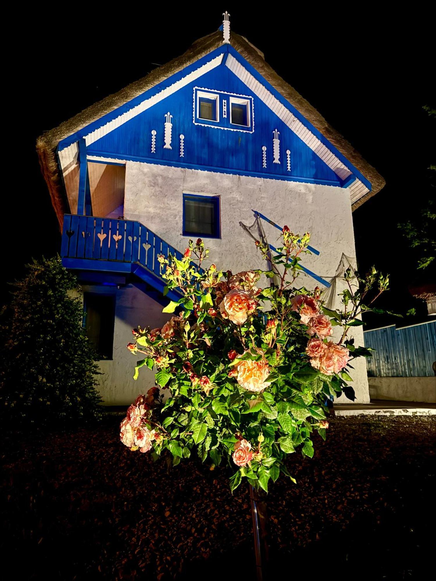 Nena Art Resort Дунавэцу-де-Жос Экстерьер фото